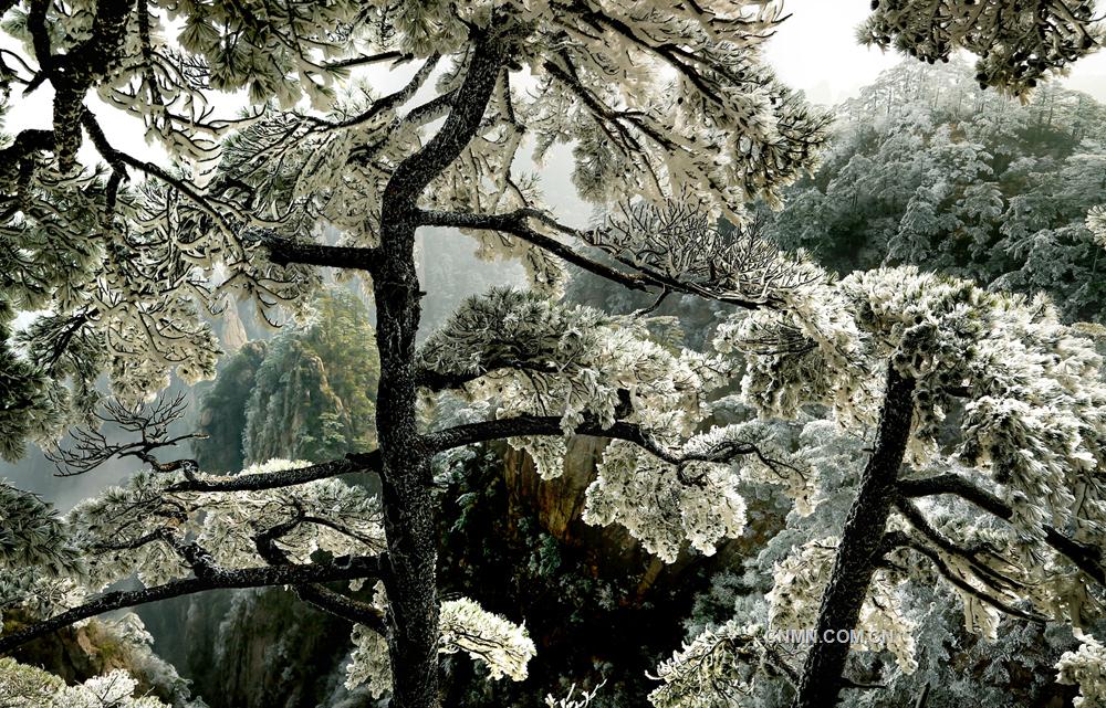 冬天畫(huà)屏