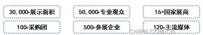 圖片11